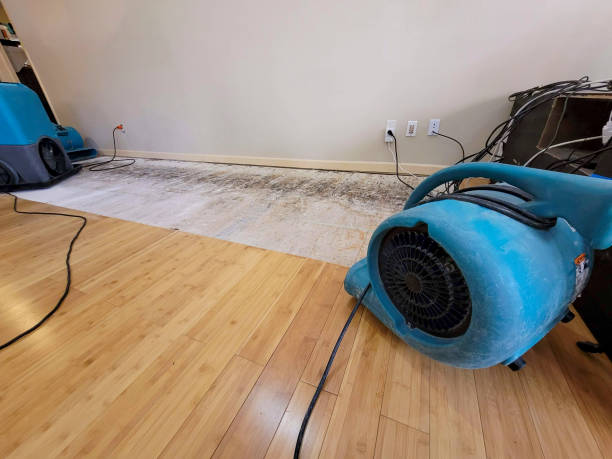 Professional Ceiling Water Damage Repair technician working in Gettysburg, OH